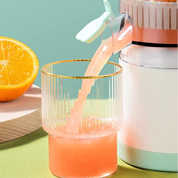 citrus juicer 2